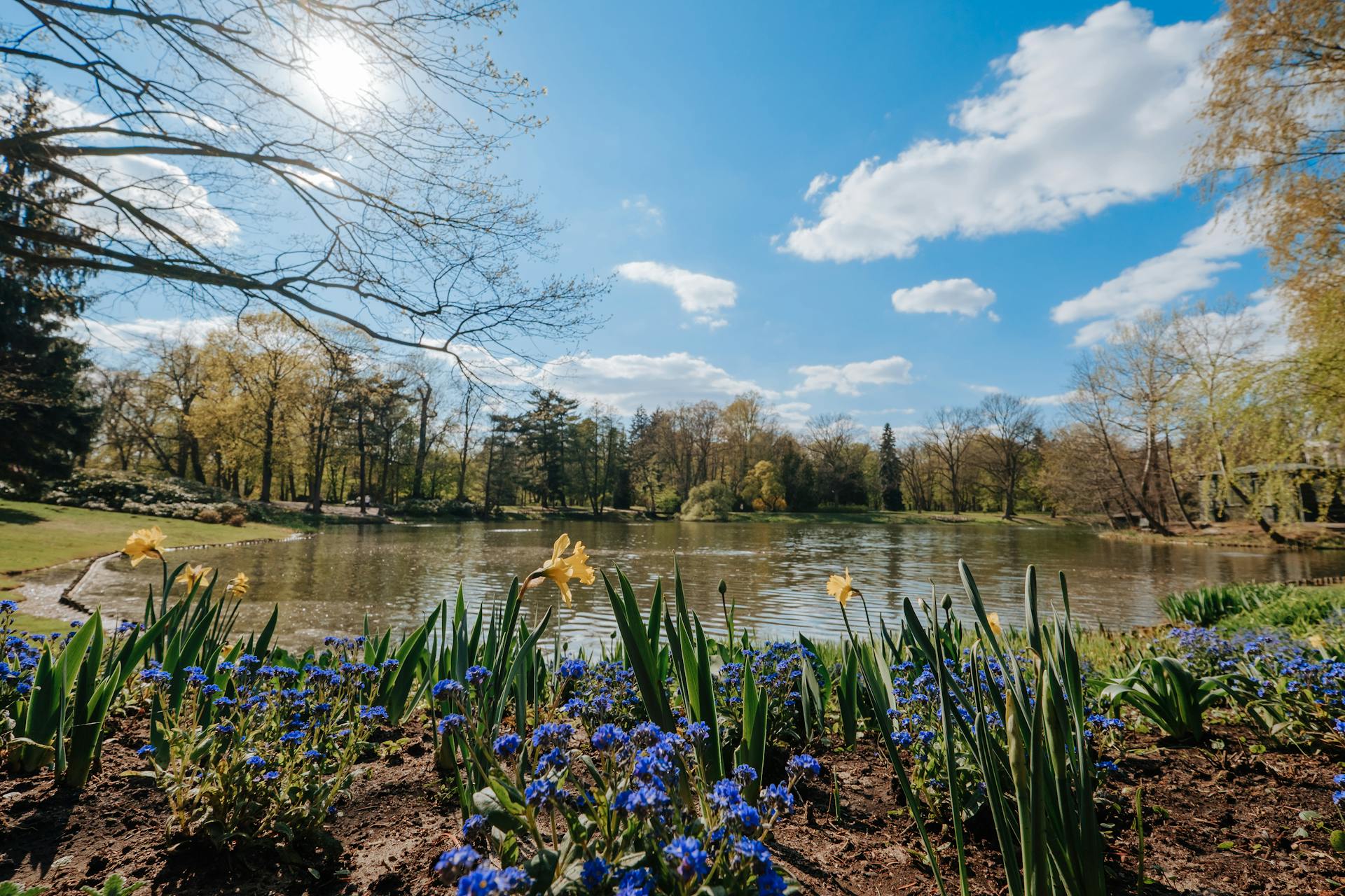 What is the difference between capital and revenue transactions