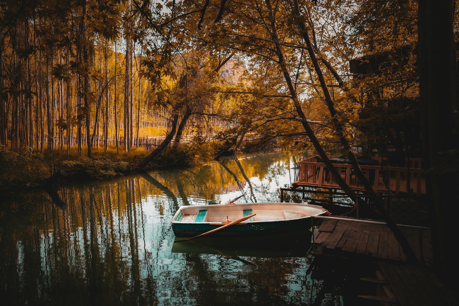 The Best Accounting Tools for Remote Businesses