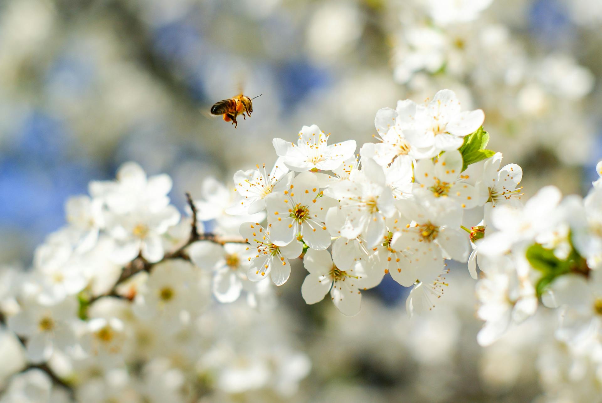 How to Organize Your Finances Before Meeting Your Accountant