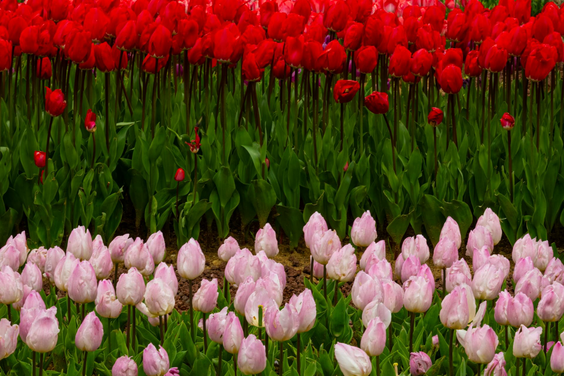 Common Bookkeeping Mistakes Small Businesses Should Avoid