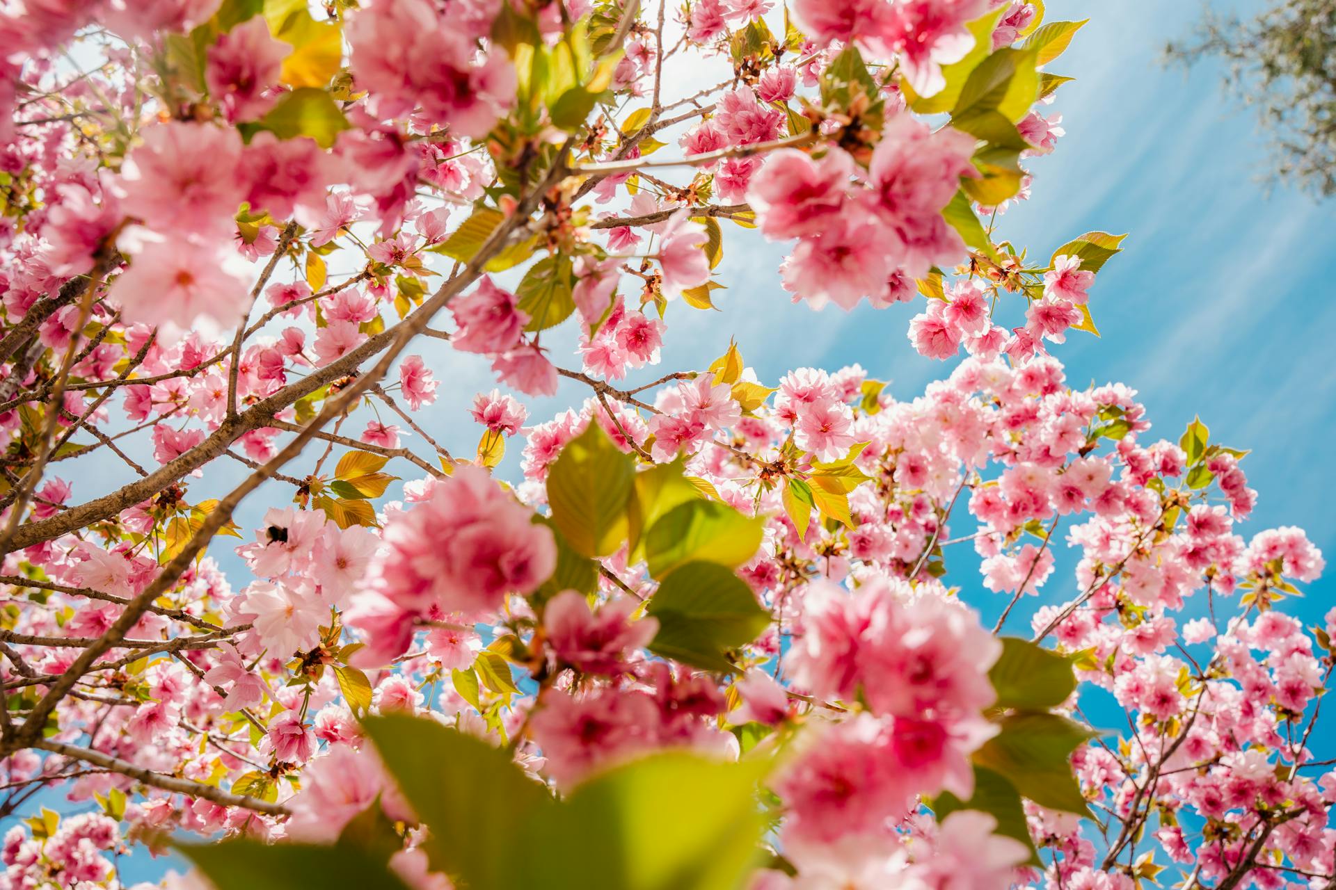 Why Long-Term Client Relationships Matter in Accounting