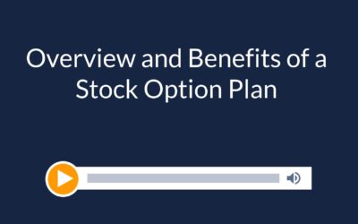 Overview and Benefits of a Stock Option Plan